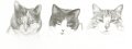 click to enlarge Hilary's cats